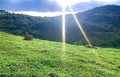 Imagem 3: Lote/Terreno para venda possui 600 metros quadrados em Jardim Helena -...