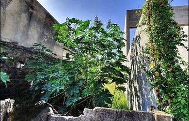 Imagem 4: Terreno à venda, 125 m² por R$ 120.000,00 - Jardim Belo Horizonte -...