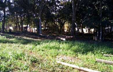 Imagem 2: Terreno à venda, 650 m² por R$ 170.000 - Jardim Casa Branca - Suzano/SP