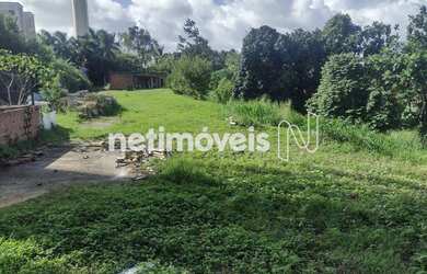 Imagem 7: Venda ou locação Lote-Área-Terreno Caji Lauro de Freitas