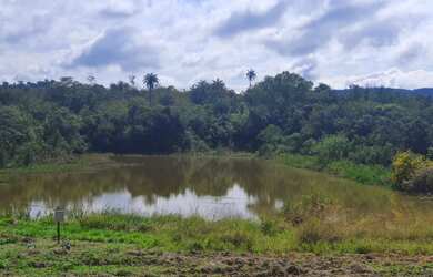 Imagem 9: Vendo Terreno Produtivo de 24,65Ha e Casa Sede Alto Padrão