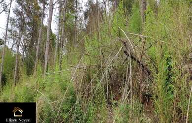 Imagem 12: Vendo Lotes no bairro Retiro de Paty em Paty do Alferes - RJ