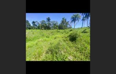 Imagem 5: lotes para investir. 