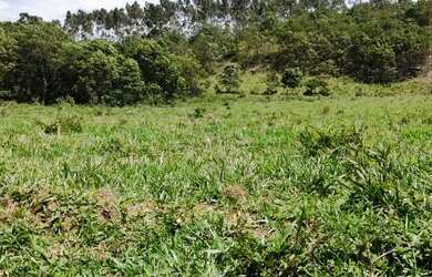 Imagem 8: Vendo terrenos e lotes. 1.000m² de Área