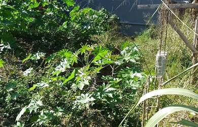 Imagem 2: Lote a venda no São Luís da barra em Barra do Pirai