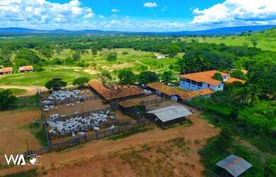 Imagem 11: Vendo Excelente Fazenda de 1.033 hectares na Região de Curvelo MG