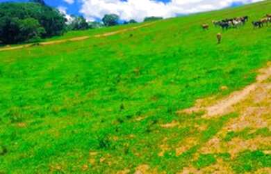 Imagem 2: Lote/Terreno para venda com 1000 metros quadrados em Centro - Atibaia...