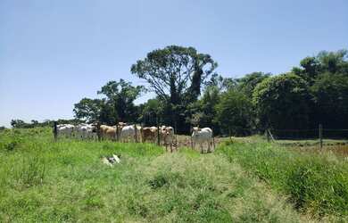 Imagem 8: Sitio TATUÍ - 23 ALQUEIRES