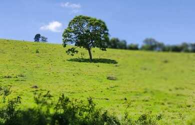 Imagem 7: Vendo terrenos e lotes. 1.000m² de Área