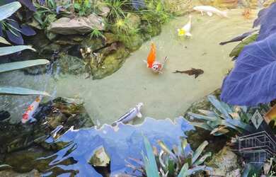 Imagem 14: CHACARA RESIDENCIAL em BRAGANÇA PAULISTA - SP, CONDOMÍNIO NÁUTICO PORTO...