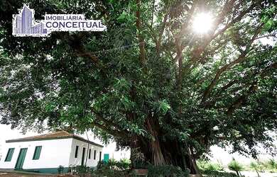 Imagem 6: Terreno Condomínio em São José do Rio Preto