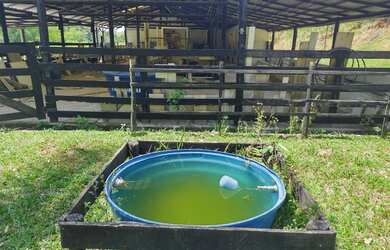 Imagem 4: linda fazenda 42 alqueires em Casimiro de Abreu