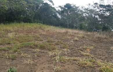 Imagem: A chácara possui 5.000m² de Área, Piscina e está localizado