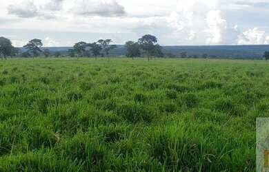 Imagem 10: Fazenda para Venda em Montes Claros de Goiás, Fazendinha