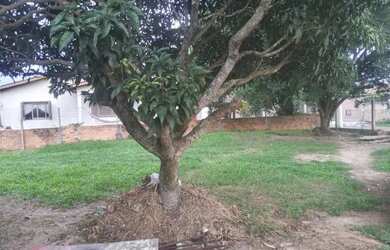 Imagem 5: Terreno com casa mista