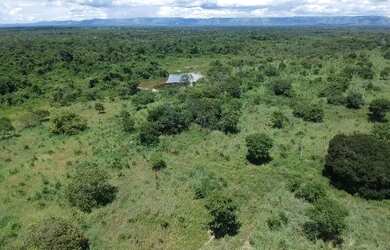 Imagem 11: Fazenda em Flores de Goias - GO, 147 hectares - GO 114