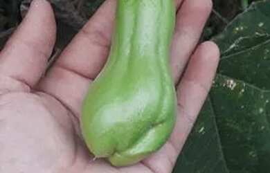 Imagem: A chácara possui 72.600m² de Área e está localizado em