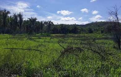 Imagem: A fazenda está localizado em Centro, Caxias à venda por R$4.900.000