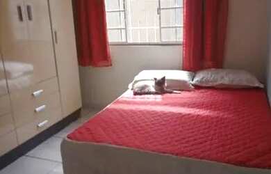 Imagem: A casa possui 3 Dormitórios, 3 Banheiros, 2 Vagas na garagem