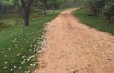 Imagem 6: Linda Fazenda em Santana do Deserto