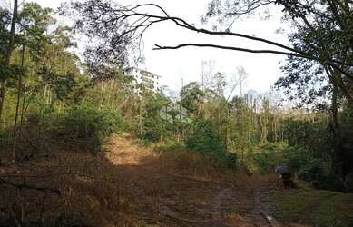 Imagem 9: Terreno em Nova Petrópolis na Serra Gaúcha