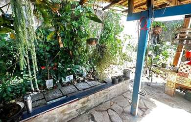 Imagem 8: GALINHA MORTA PREÇO ABAIXO DO MERCADO NA PONTE ALTA NORTE