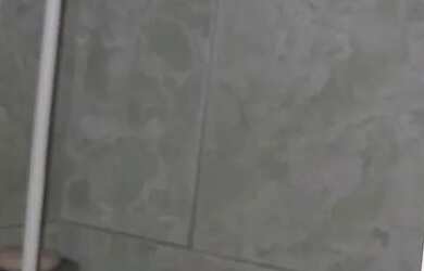 Imagem 8: Alugo casa tipo kit net (R$ 350,00