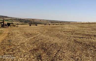 Imagem 10: R$150 Milhões Fazenda de 405 alqueires em Campo Alegre-GO