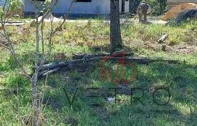 Imagem 4: Terreno à Venda em Canela