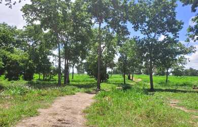 Imagem 10: Fagenda a Venda. 1.541m² de Área