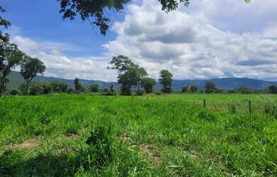Imagem 7: Fagenda a Venda. 1.541m² de Área