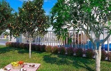 Imagem 14: DL Torre Passare proximo ao banco do nordeste me liga 9 8 1 7 7 5 1 1...