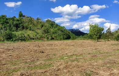 Imagem 5: Lote/Terreno para venda possui 600 metros quadrados em Jardim Paineiras...