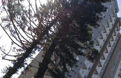 Imagem 6: Sao Carlos - Apartamento Padrão - Recreio Sao Judas Tadeu