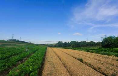 Imagem 8: quot o/26 Promoção só em Cotia-SP Terrenos 35.000 mil Agende sua visita