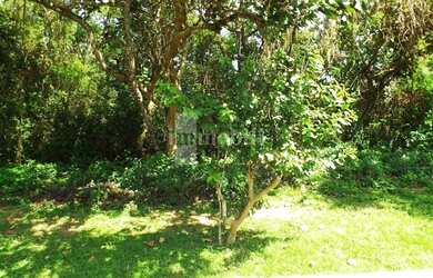 Imagem: O terreno possui 1.007m² de Área e está localizado em Altos