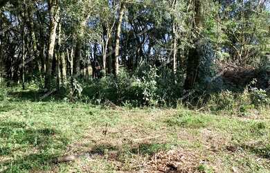 Imagem: A fazenda possui 36.500m² de Área e está localizado em Área
