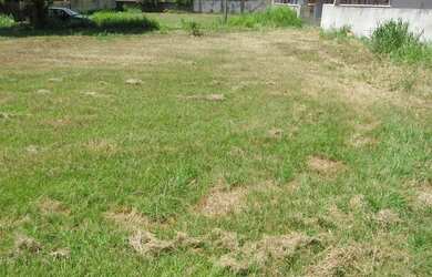 Imagem 4: Terreno à venda, 315 m² por R$ 53.000,00 - Ponte dos Leites - Araruama/RJ