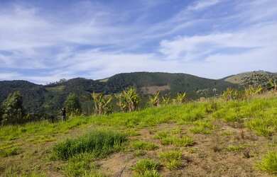 Imagem 7: Lote/Terreno para venda tem 5000 metros quadrados em Jardim Maia - Guarulhos...