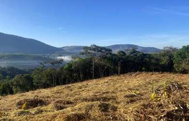 Imagem 13: Lote/Terreno para venda tem 5000 metros quadrados em Jardim Maia - Guarulhos...