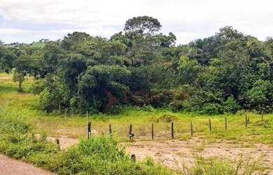 Imagem 13: Fazenda à venda, 1.936 hectares por R$ - Zona Rural - Jaraguá/GO