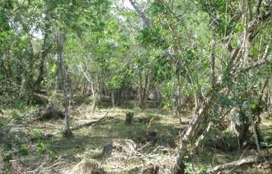 Imagem 5: Ótima área de 109 000 m² com escritura fica de frente pra geral de...