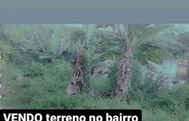 Imagem: O terreno está localizado em Colônia Terra Nova, Manaus à