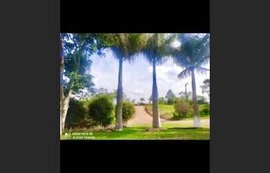 Imagem 2: lotes para investir. 