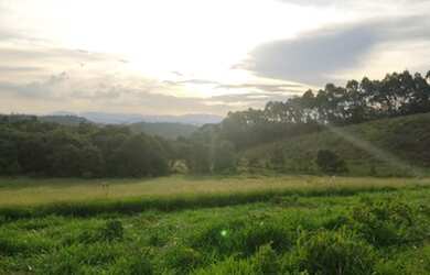 Imagem 11: Vendo terrenos e lotes. 1.000m² de Área