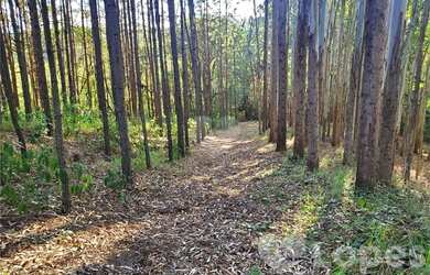 Imagem: A fazenda possui 400m² de Área e está localizado em Bragança