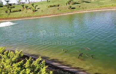 Imagem 10: São José do Rio Preto - Casa de Condomínio - Parque Residencial Damha...