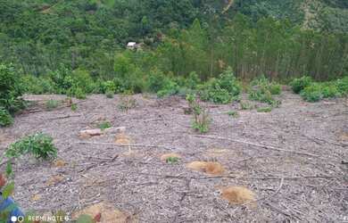 Imagem 11: *Vendo Sitio urgente em Timbui