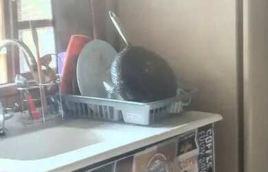 Imagem 5: Vende casa esta casa. 1 Banheiroe1 Dormitório