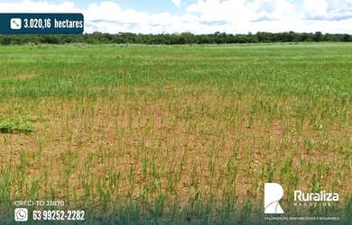 Imagem 1: Fazenda em exploração agrícola na região do Vale do Araguaia TO